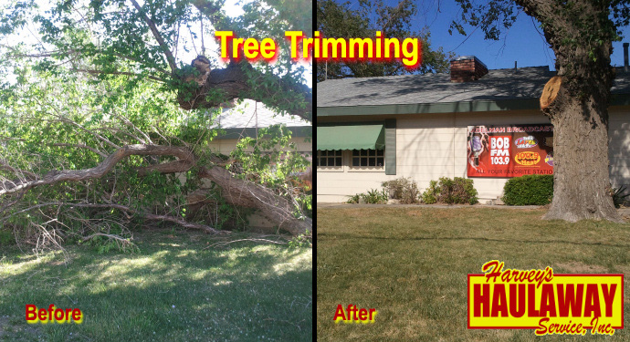tree trimming2